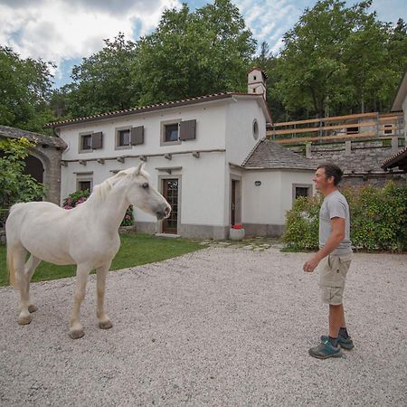 Tmbin'S Barn - Nature, Horses, Family Sezana Exterior photo