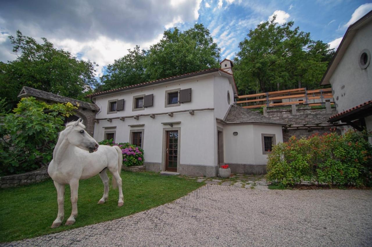 Tmbin'S Barn - Nature, Horses, Family Sezana Exterior photo