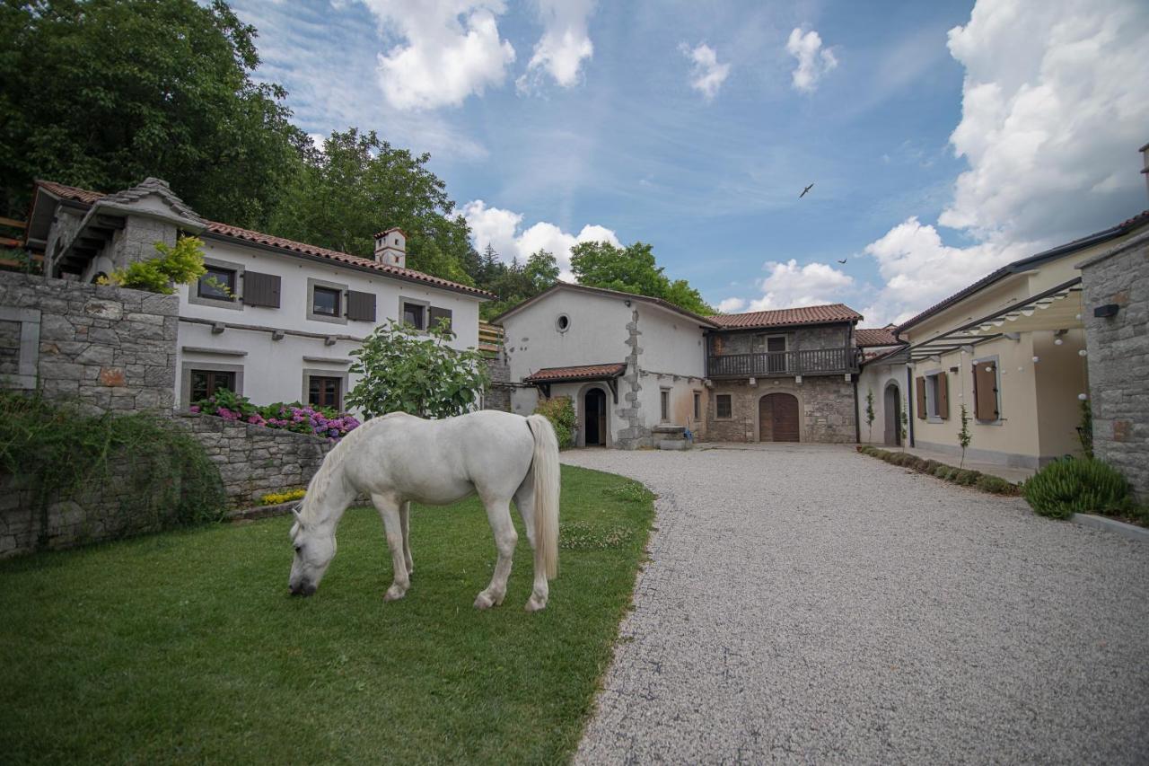Tmbin'S Barn - Nature, Horses, Family Sezana Exterior photo